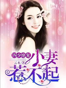 主角是叶景睿蓝璃茉宫月琳于姚的小说_叶景睿蓝璃茉宫月琳于姚最新免费