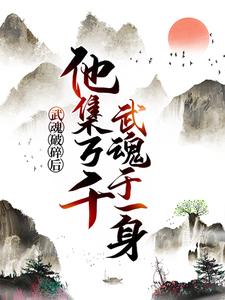 武魂破碎后，他集万千武魂于一身叶辰百里松龙银泰陈思瑶免费全本阅读_武魂破碎后，他集万千武魂于一身小说全本