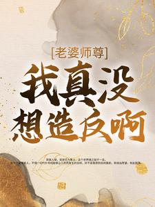 主角是王轩林清寒的小说_王轩林清寒小说免费阅读