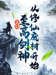 玄幻：至高剑神从修仙废材开始_孤海_叶天王重山王崇文_连载追更