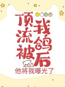 顶流被我鸽后，他将我曝光了宋栖姜舒结夏黄老板小说阅读_顶流被我鸽后，他将我曝光了最新免费