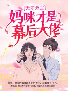 全网爆火天才双宝：妈咪才是幕后大佬沐宝儿沐小晗沐小澈警察_天才双宝：妈咪才是幕后大佬(沐宝儿沐小晗沐小澈警察)免费全本