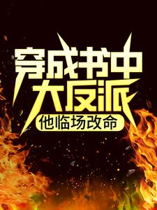 热门小说《穿成书中大反派，他临场改命》小说_(主角是陆承李叶柳宁雪柳家)穿成书中大反派，他临场改命最新免费