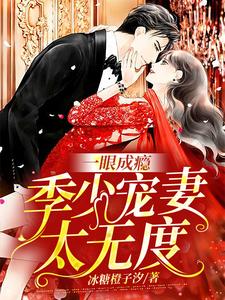 一眼成瘾：季少宠妻太无度顾汐妍季霆骁季澈韩逸小说无弹窗_一眼成瘾：季少宠妻太无度全文小说