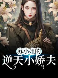 抖音热门《苏小姐的逆天小娇夫》小说_(主角是苏寅赵远之宋妍叶玄奕)苏小姐的逆天小娇夫免费阅读