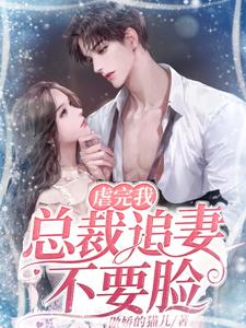 主角是墨震霆林清婉陆明轩的小说_墨震霆林清婉陆明轩全本小说