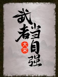 大宋：武者当自强狄咏狄青李元昊赵匡胤免费全本阅读_大宋：武者当自强全文阅读