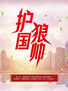 护国狼帅雷震狼毒花全本免费阅读_护国狼帅最新全本小说
