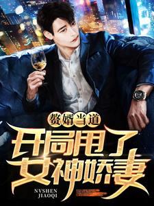 无广告小说赘婿当道：开局甩了女神娇妻叶辰张倩婷刘绍杰秦洛雪_赘婿当道：开局甩了女神娇妻(叶辰张倩婷刘绍杰秦洛雪)最新全本小说