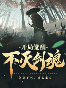 开局觉醒不灭剑魂叶飞叶威天玄宗叶家小说免费阅读全文_开局觉醒不灭剑魂小说全本