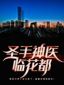 圣手神医临花都叶轩苏芸儿免费小说_圣手神医临花都全本小说