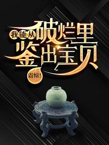 震惊！我能从破烂里鉴出宝贝！陆飞张怀志赵佑廷袁世凯最新免费_震惊！我能从破烂里鉴出宝贝！全本章节阅读