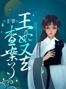王爷，王妃又去查案了曲蓁黄秀莲张胜张寡妇免费全本阅读_王爷，王妃又去查案了小说免费阅读