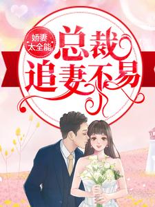 全本免费《娇妻太全能，总裁追妻不易》小说_(主角是纪辰凌白汐陈慧)娇妻太全能，总裁追妻不易小说全本章节