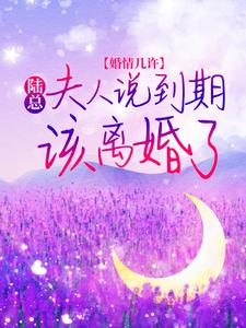 婚情几许：陆总，夫人说到期该离婚了陆禹东姜瓷韩岚免费全本_婚情几许：陆总，夫人说到期该离婚了全本小说