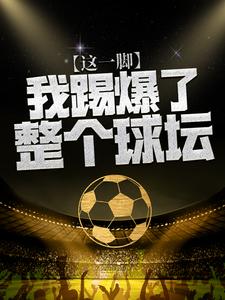 推荐《这一脚，我踢爆了整个球坛》小说_(主角是苏晨王博董芳卓乔丹)这一脚，我踢爆了整个球坛全本小说