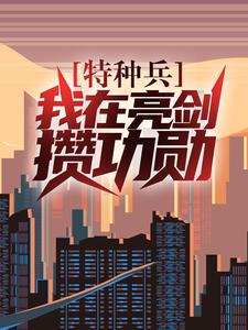 特种兵：我在亮剑攒功勋叶正阳小说无广告_特种兵：我在亮剑攒功勋小说最新章节