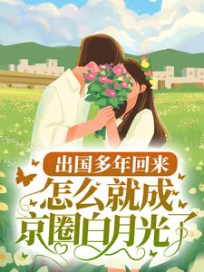 主角是邵煜深沈轻言沈老爷子沈二的小说_邵煜深沈轻言沈老爷子沈二全文小说