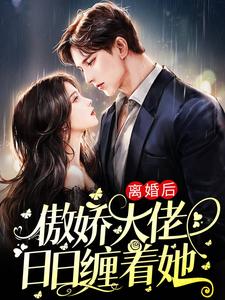 爆火小说离婚后，傲娇大佬日日缠着她沈晚辞薄荆州简维宁陈栩_离婚后，傲娇大佬日日缠着她(沈晚辞薄荆州简维宁陈栩)小说无弹窗