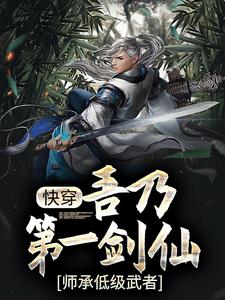主角是沈安在慕容天的小说_沈安在慕容天小说无弹窗