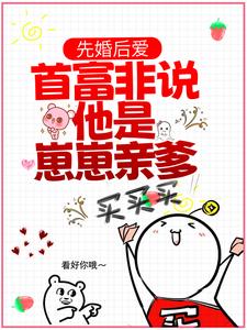 先婚后爱：首富非说他是崽崽亲爹？苏清琉霍家苏振业苏清桃小说全文免费阅读_先婚后爱：首富非说他是崽崽亲爹？全文阅读