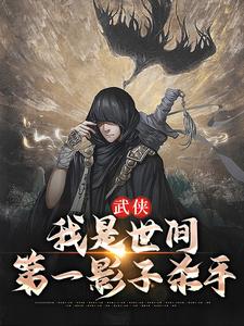 武侠：我是世间第一影子杀手王易秦寿最新免费_武侠：我是世间第一影子杀手小说免费阅读