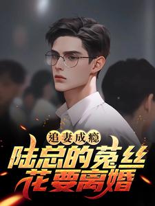 追妻成瘾：陆总的菟丝花要离婚江澜陆竟池夏颜小说无弹窗_追妻成瘾：陆总的菟丝花要离婚免费小说
