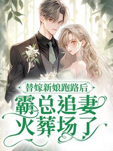 主角是盛聿商渺宋音音的小说_盛聿商渺宋音音免费小说
