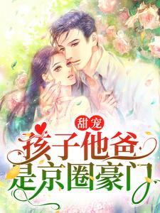 全本甜宠：孩子他爸是京圈豪门蓝鸢陆宸_甜宠：孩子他爸是京圈豪门(蓝鸢陆宸)全文阅读