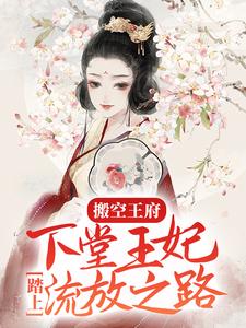 最近很火的小说《搬空王府，下堂王妃踏上流放之路》小说_(主角是周云姝姬生镇北王周存高)搬空王府，下堂王妃踏上流放之路免费全本阅读