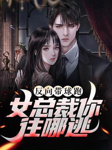反向带球跑：女总裁你往哪逃秦楚渝秦慕淇秦慕茗慕倾城小说无弹窗_反向带球跑：女总裁你往哪逃全文阅读