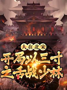 人在北宋，开局以三寸之舌战少林李羡鱼金阿二王姑娘段誉最新免费_人在北宋，开局以三寸之舌战少林免费阅读
