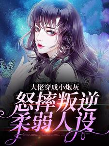 主角是岁一苏三儿苏淑云的小说_岁一苏三儿苏淑云最新免费