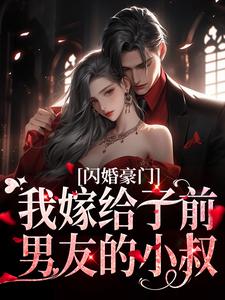 精品推荐《闪婚豪门：我嫁给了前男友的小叔》小说_(主角是陆司谌向晚陆元希蓝琳)闪婚豪门：我嫁给了前男友的小叔免费全本