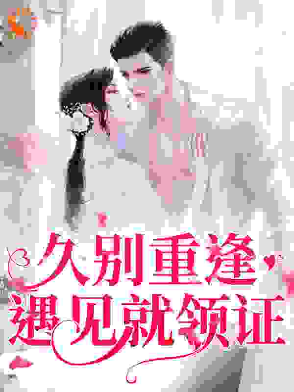 免费小说《久别重逢，遇见就领证》小说_(主角是舒遥顾思澈苏馨园齐贤)久别重逢，遇见就领证最新免费