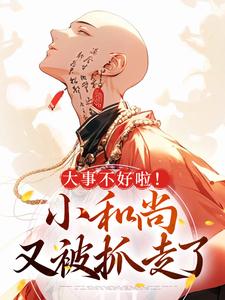 主角是桃夭小和尚灰衫公子店小二的小说_桃夭小和尚灰衫公子店小二小说阅读