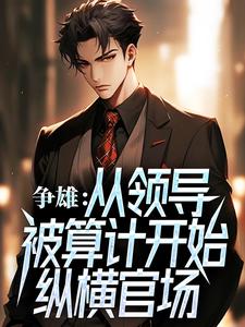 必看小说《争雄：从领导被算计开始纵横官场》小说_(主角是袁雯洁王子枫黄威陈强)争雄：从领导被算计开始纵横官场最新全本小说