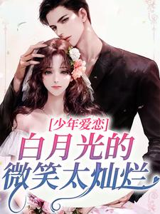 主角是盛承炀宋赫简希陈铭的小说_盛承炀宋赫简希陈铭小说全文阅读