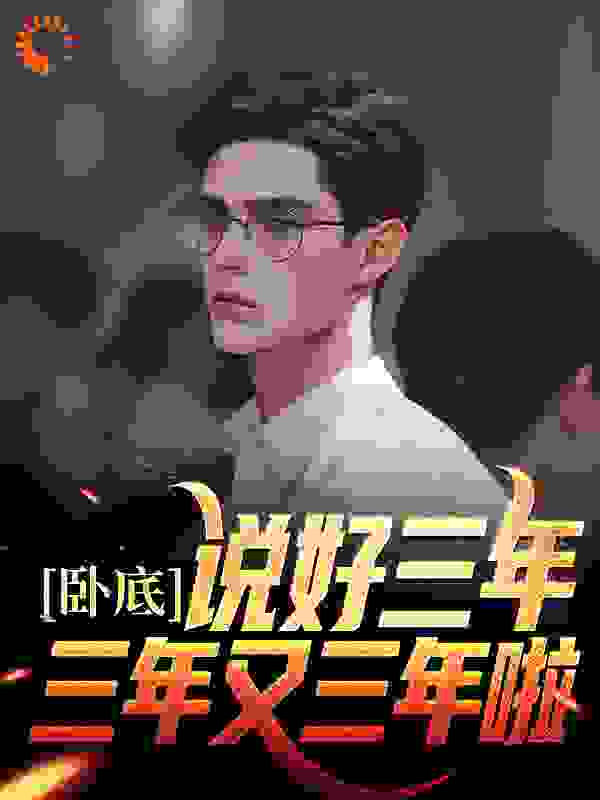 畅销佳作_卧底：说好三年，三年又三年啦_张寅_陈宇虎哥连理刘局