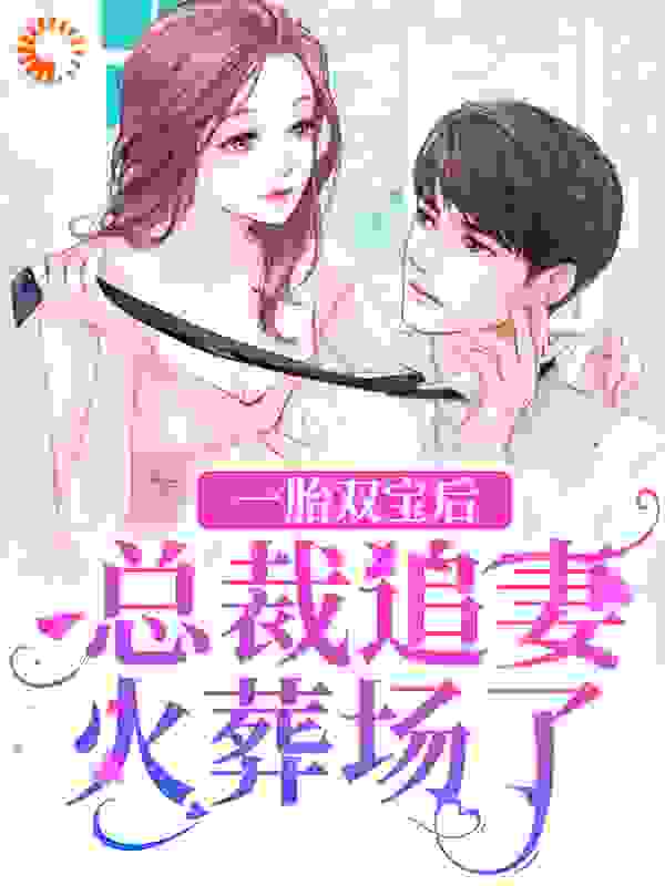 爆火推荐一胎双宝后，总裁追妻火葬场了_一胎双宝后，总裁追妻火葬场了(顾言澈宋薇暖许景淮沈玥)免费小说