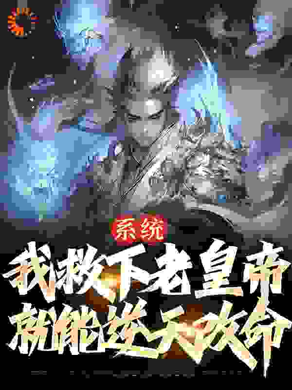 系统：我救下老皇帝，就能逆天改命_曹爽之杨坚杨广宣华夫人_酒九樽_免费阅读