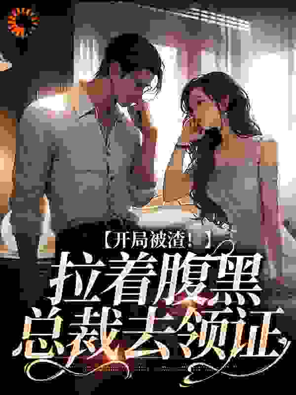 总裁豪门_被甩后，我转身嫁给豪门总裁_淡墨人生_苏妍沈星野陆羽琛苏紫兰