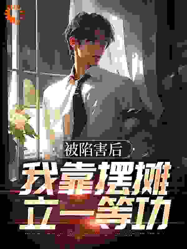 被陷害后，我靠摆摊立一等功_一颗小猫_林贤安馨王晓雪何以笙_无弹窗