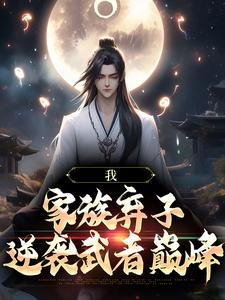 我，家族弃子，逆袭武者巅峰_阿星_叶兴小玉叶正羽叶正祥_章节目录