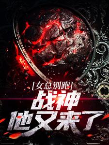 女总别跑：战神他又来了叶飞沈幼薇免费小说_女总别跑：战神他又来了无弹窗大结局