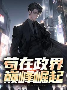 全文免费《苟在政界，巅峰崛起》小说_(主角是顾明宋晚晴)苟在政界，巅峰崛起小说全文阅读