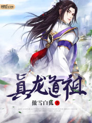 真龙道祖叶不凡夏天昊龙紫若麻脸少年无弹窗大结局_真龙道祖小说全本