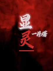 全本小说显灵_显灵(浩浩念念大伯村长)小说全文阅读