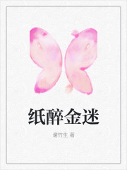 全文免费纸醉金迷_纸醉金迷(李言西西江哲安姐)最新小说