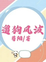 遛狗风波沈易林裴子音然然圆圆小说免费阅读_遛狗风波最新小说